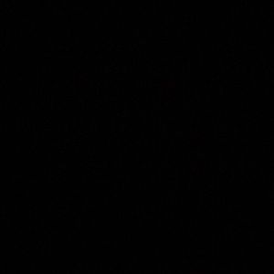 Meet your Posher, Leila